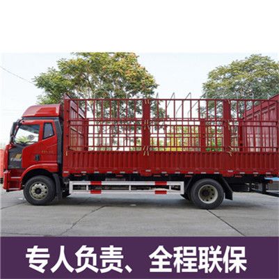 深圳到梅州豐順縣物流專(zhuān)線(xiàn)